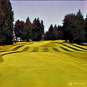 Meet your Posher, Justin